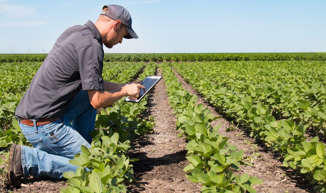 Soil analysis and testing